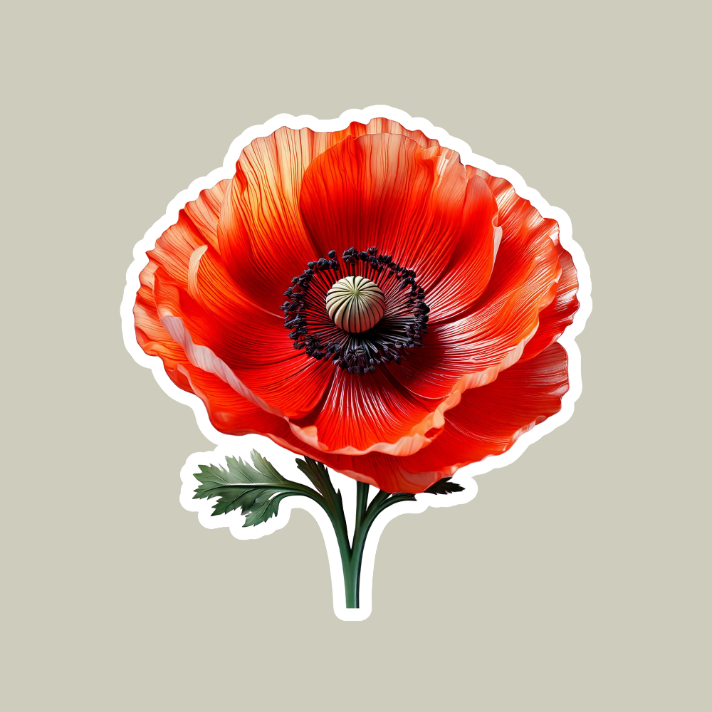 Poppy Flower Sticker