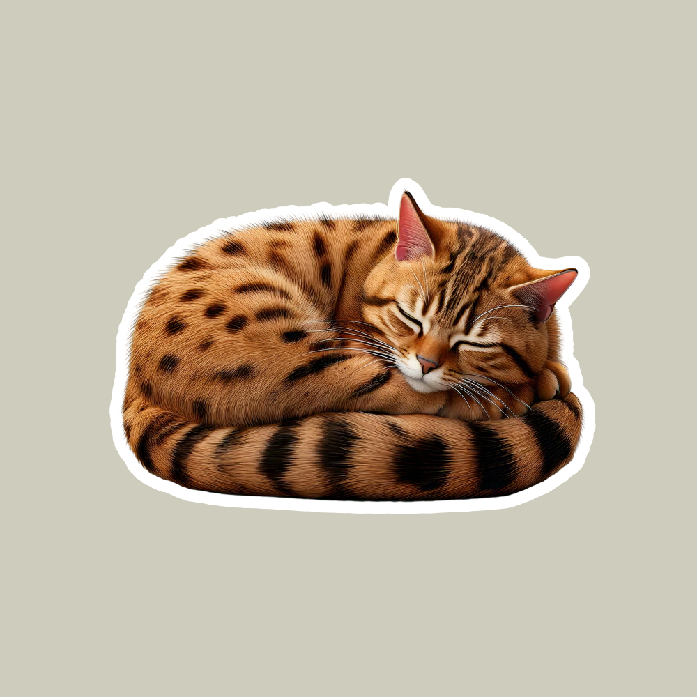 Sleeping Bengal Sticker