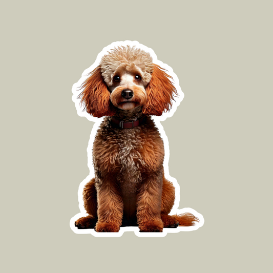 Poodle Sticker