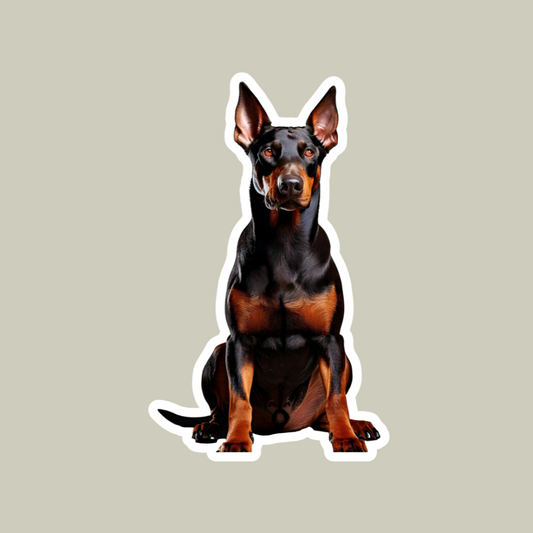 Dobermann Sticker