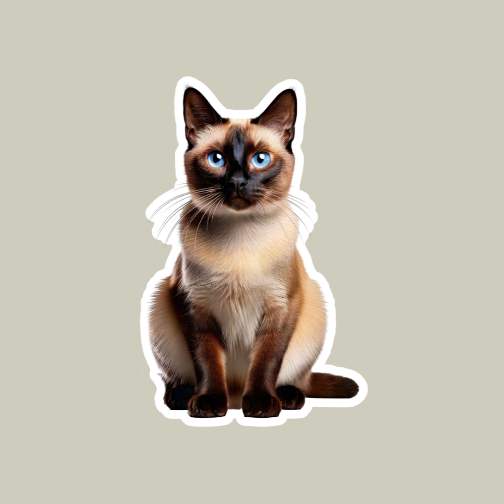 Siamese Cat Sticker