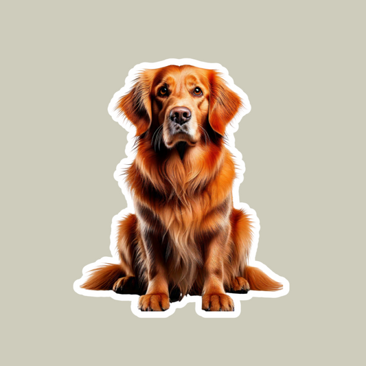 Golden Retriever Sticker