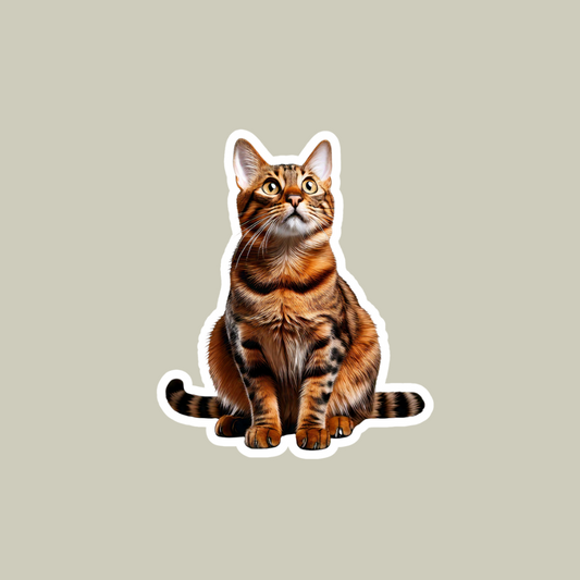 Bengal Cat Sticker