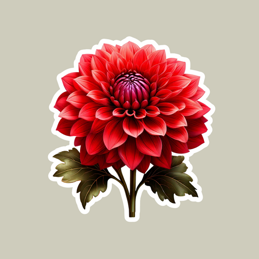 Red dahlia Flower Sticker