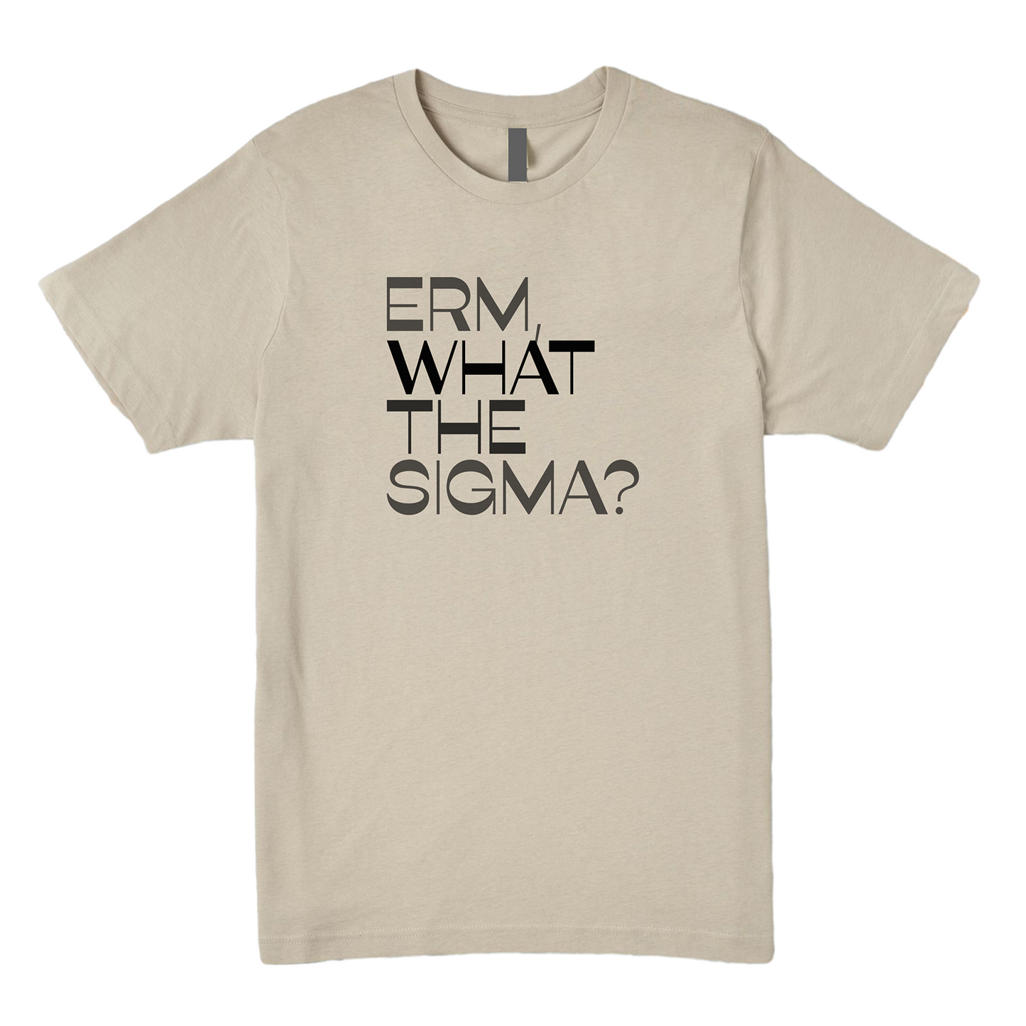 Erm What The Sigma Tee - Question Everything