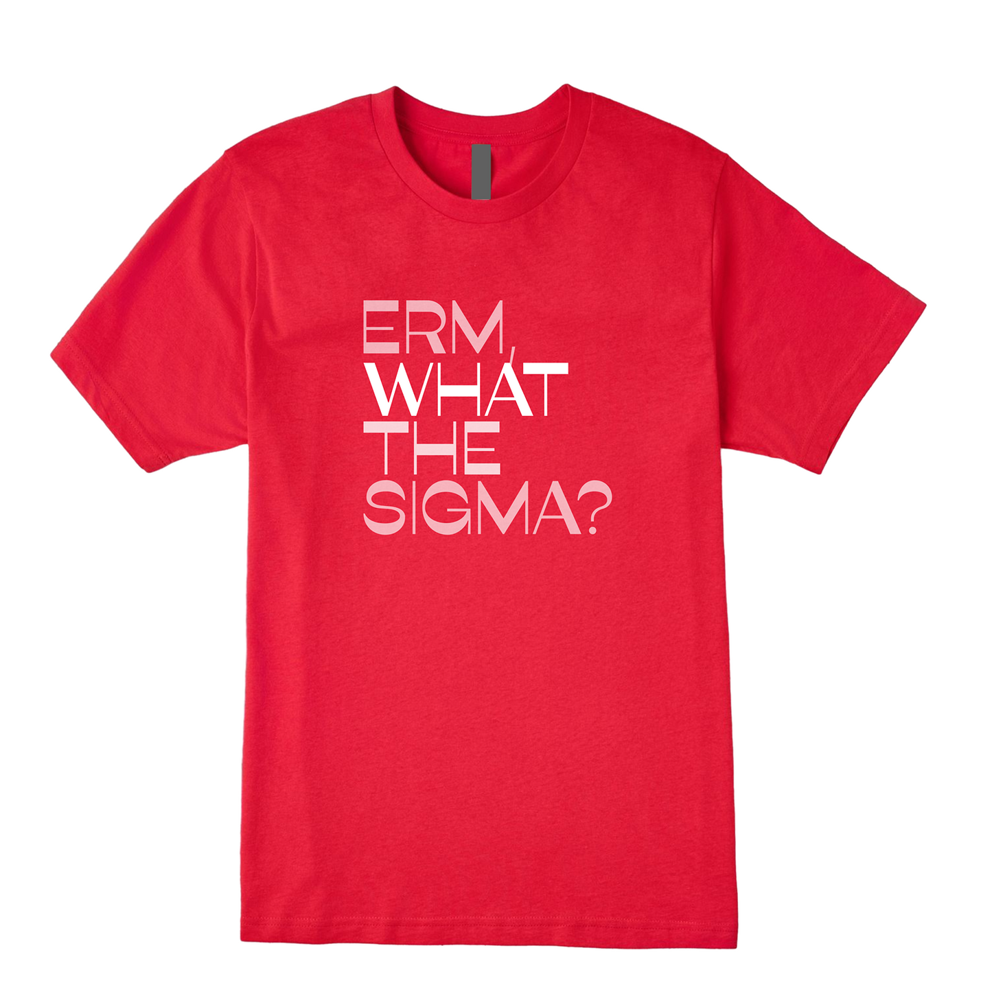 Erm What The Sigma Tee - Question Everything