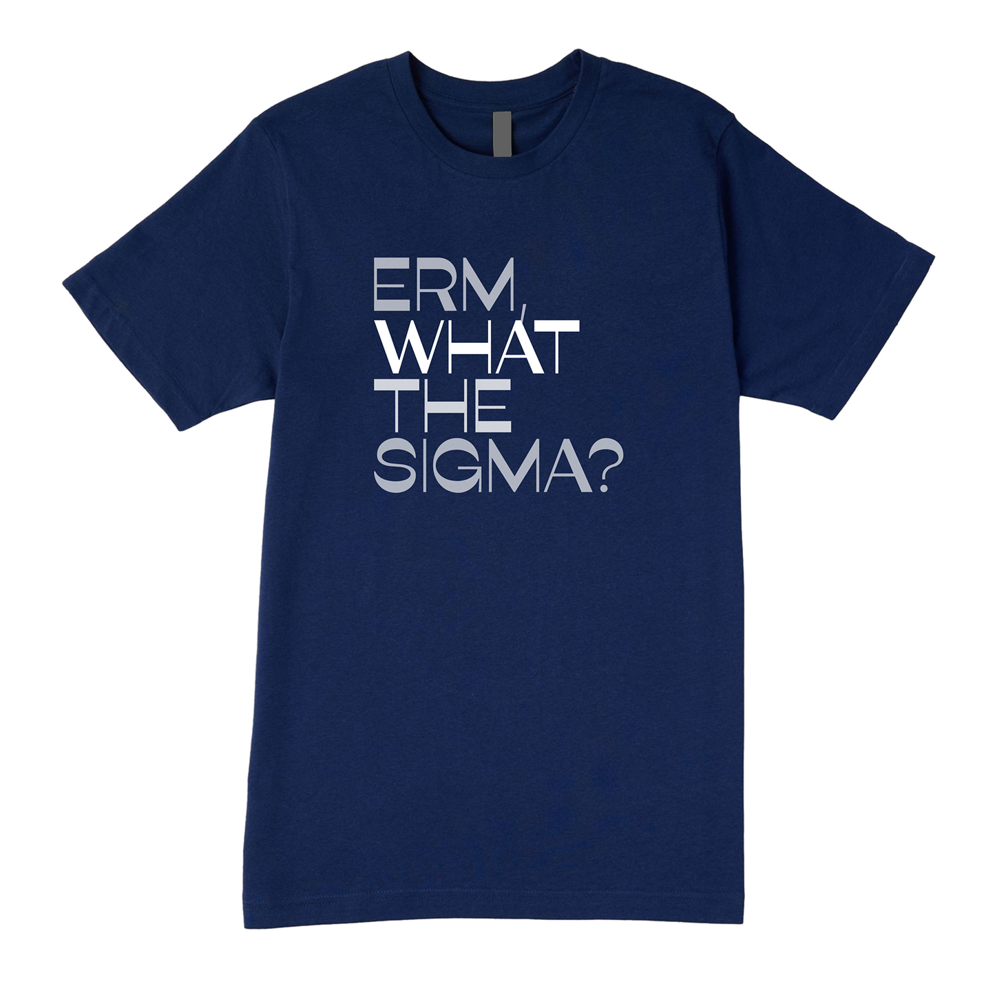 Erm What The Sigma Tee - Question Everything