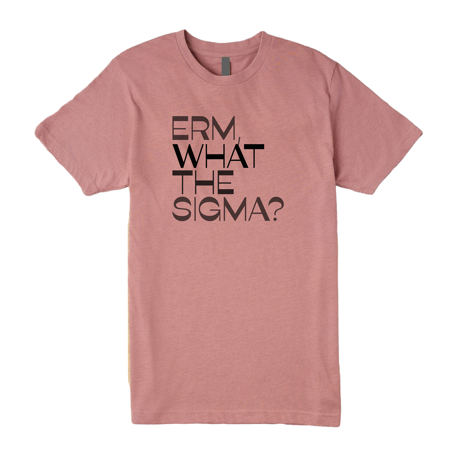 Erm What The Sigma Tee - Question Everything