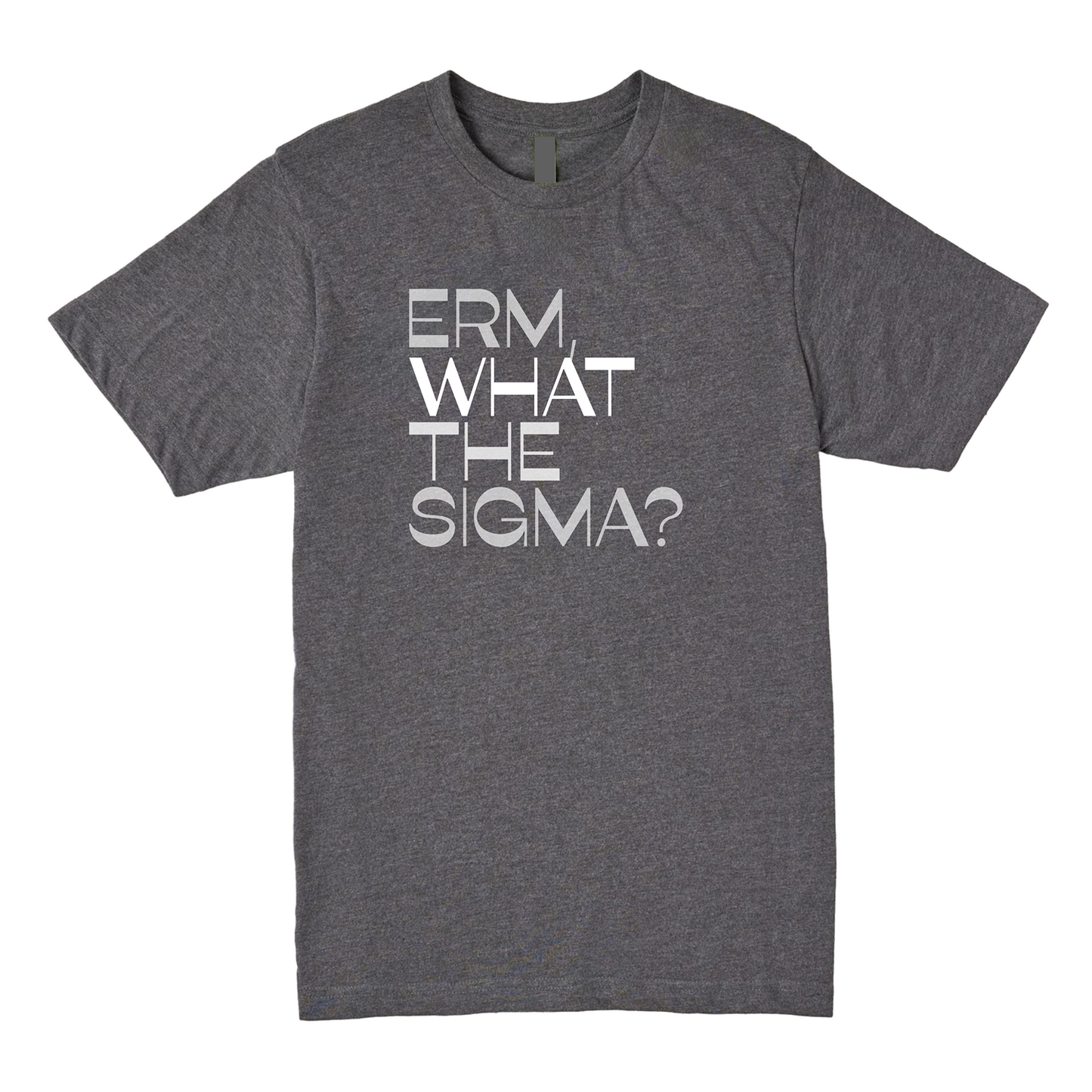 Erm What The Sigma Tee - Question Everything