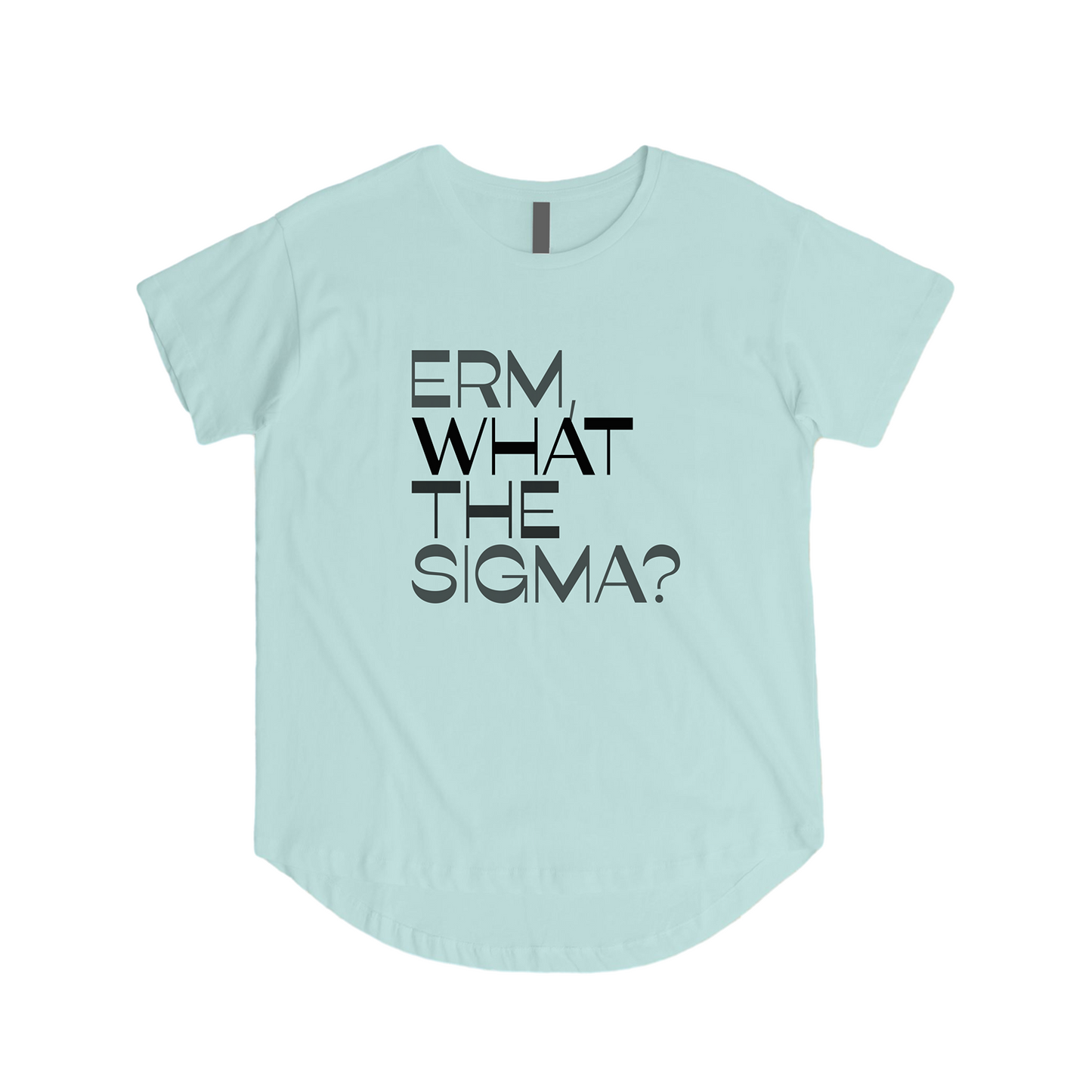 Erm What The Sigma Tee - Question Everything