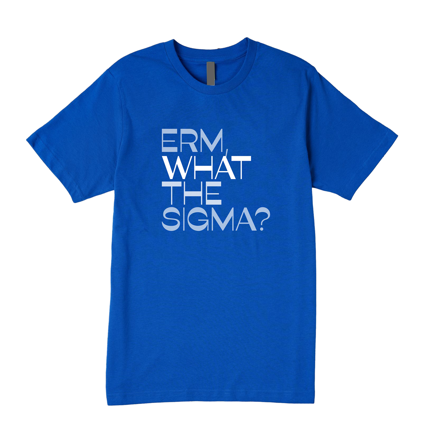 Erm What The Sigma Tee - Question Everything