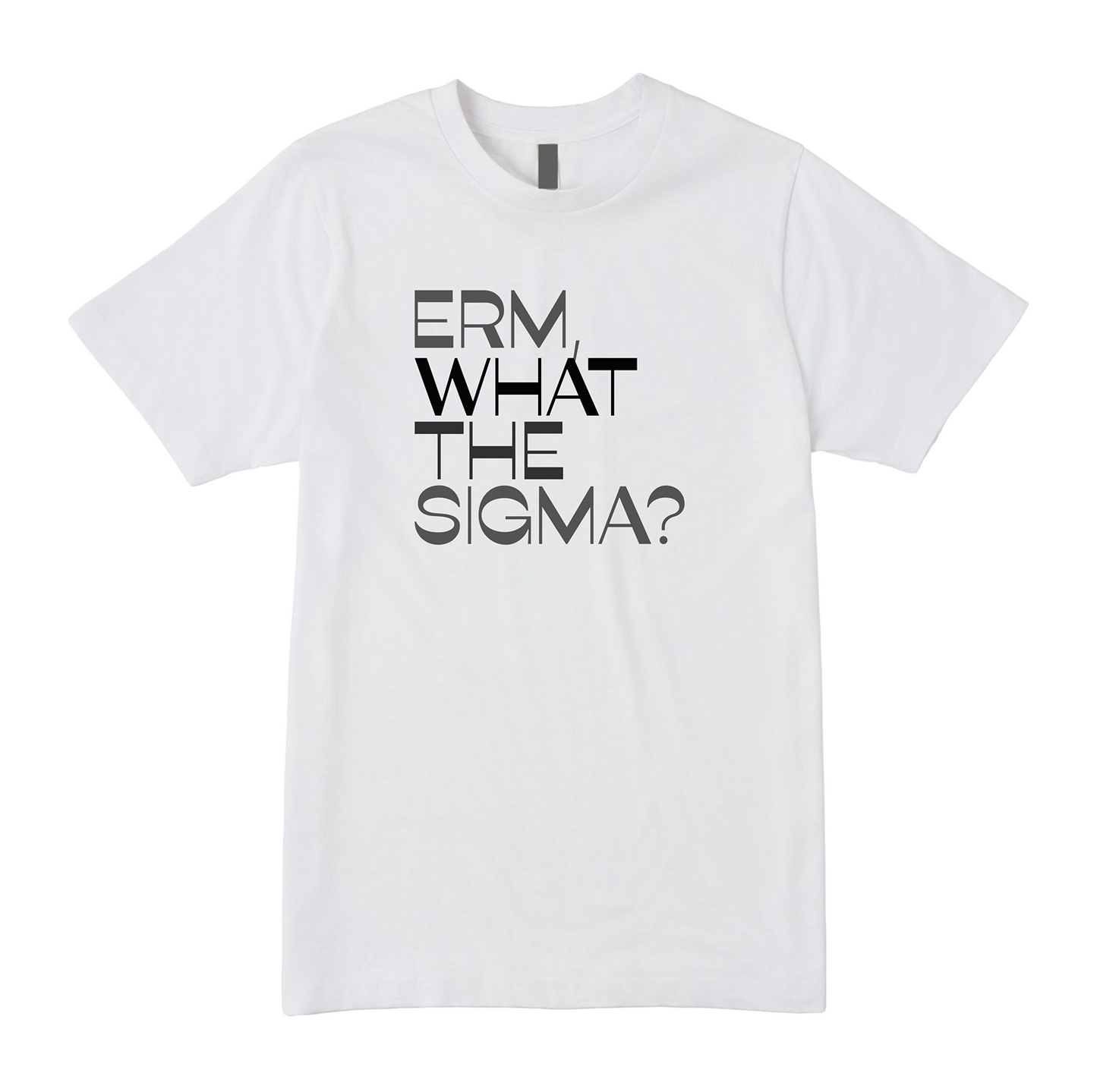 Erm What The Sigma Tee - Question Everything