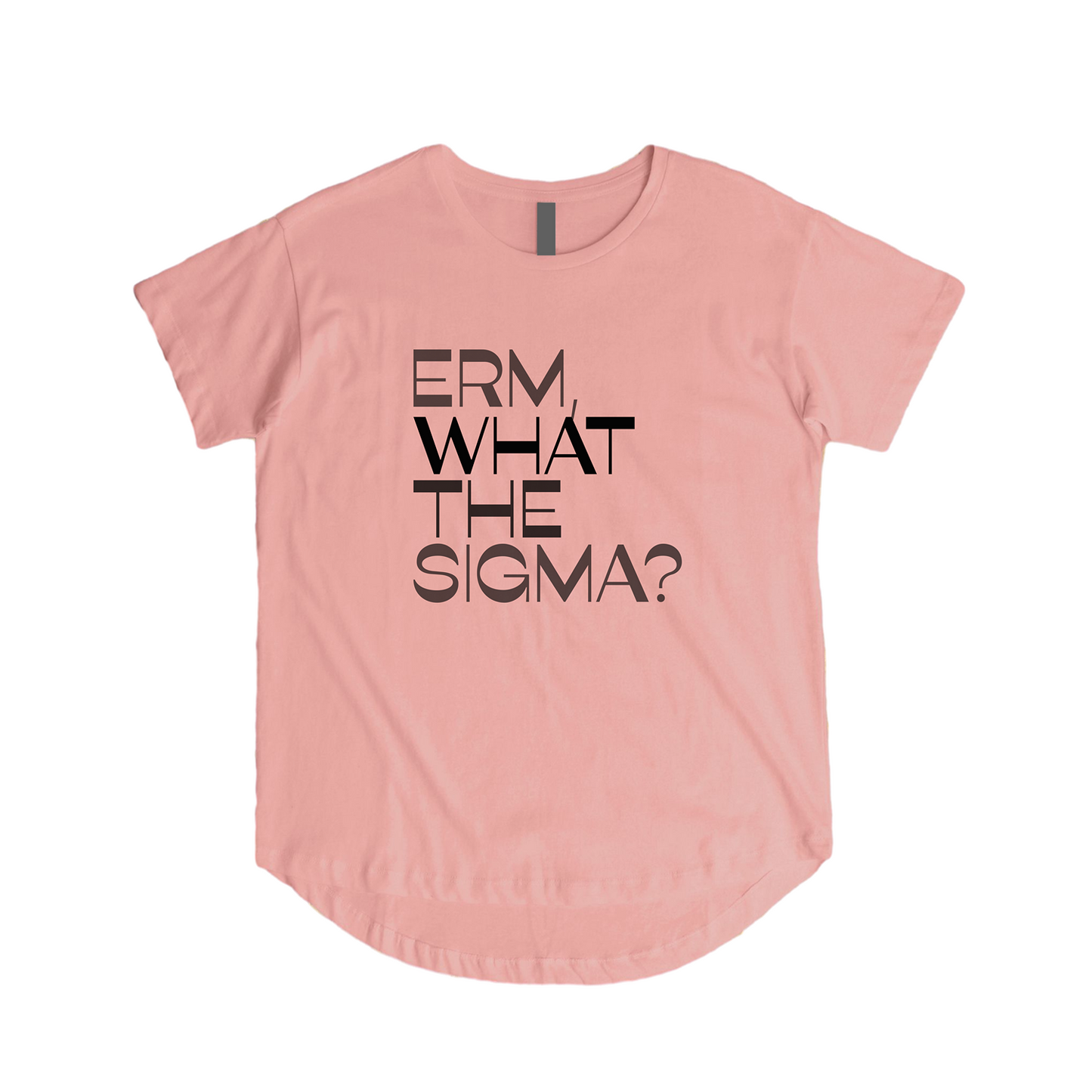 Erm What The Sigma Tee - Question Everything