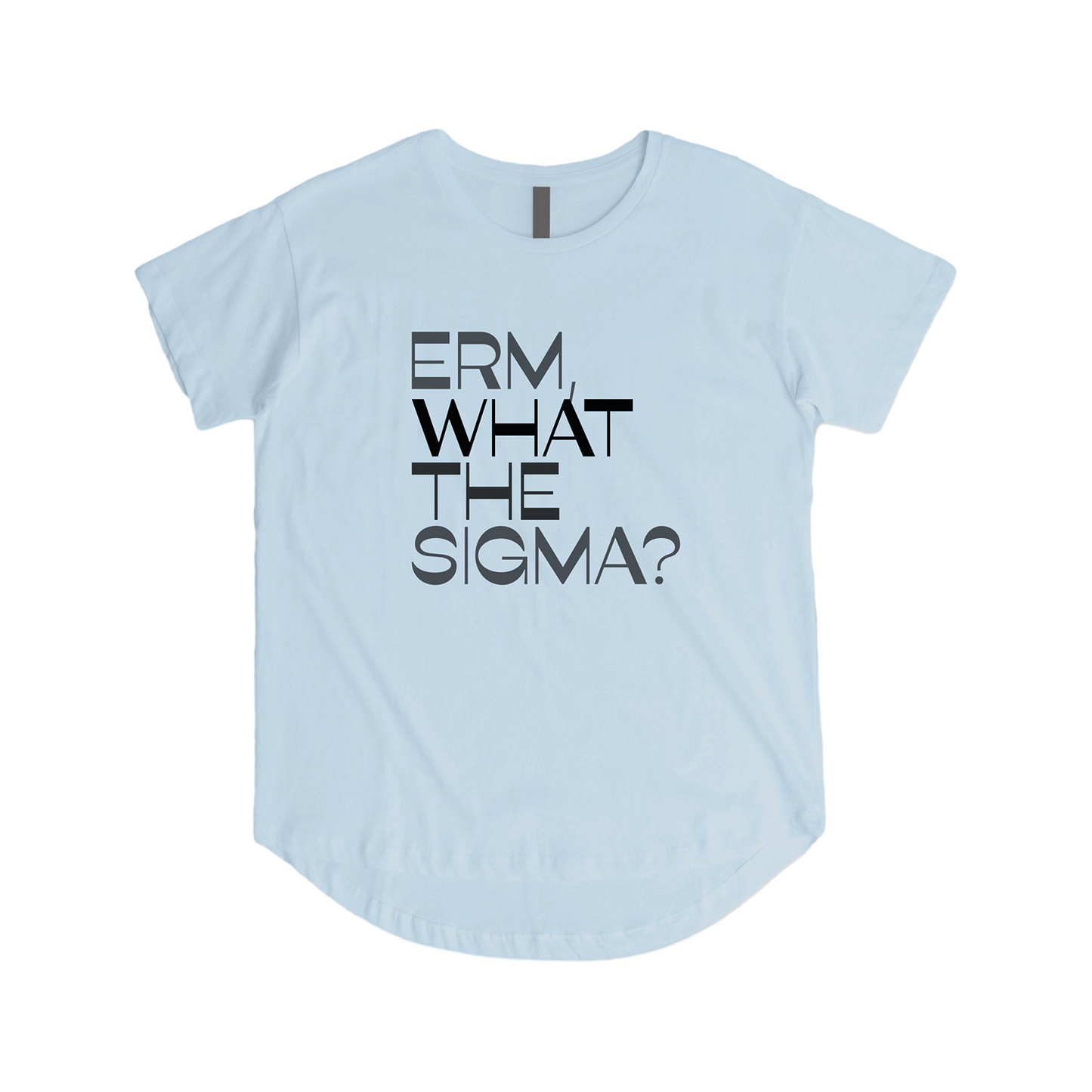 Erm What The Sigma Tee - Question Everything