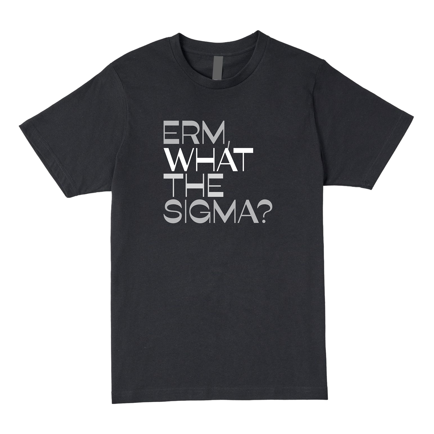 Erm What The Sigma Tee - Question Everything