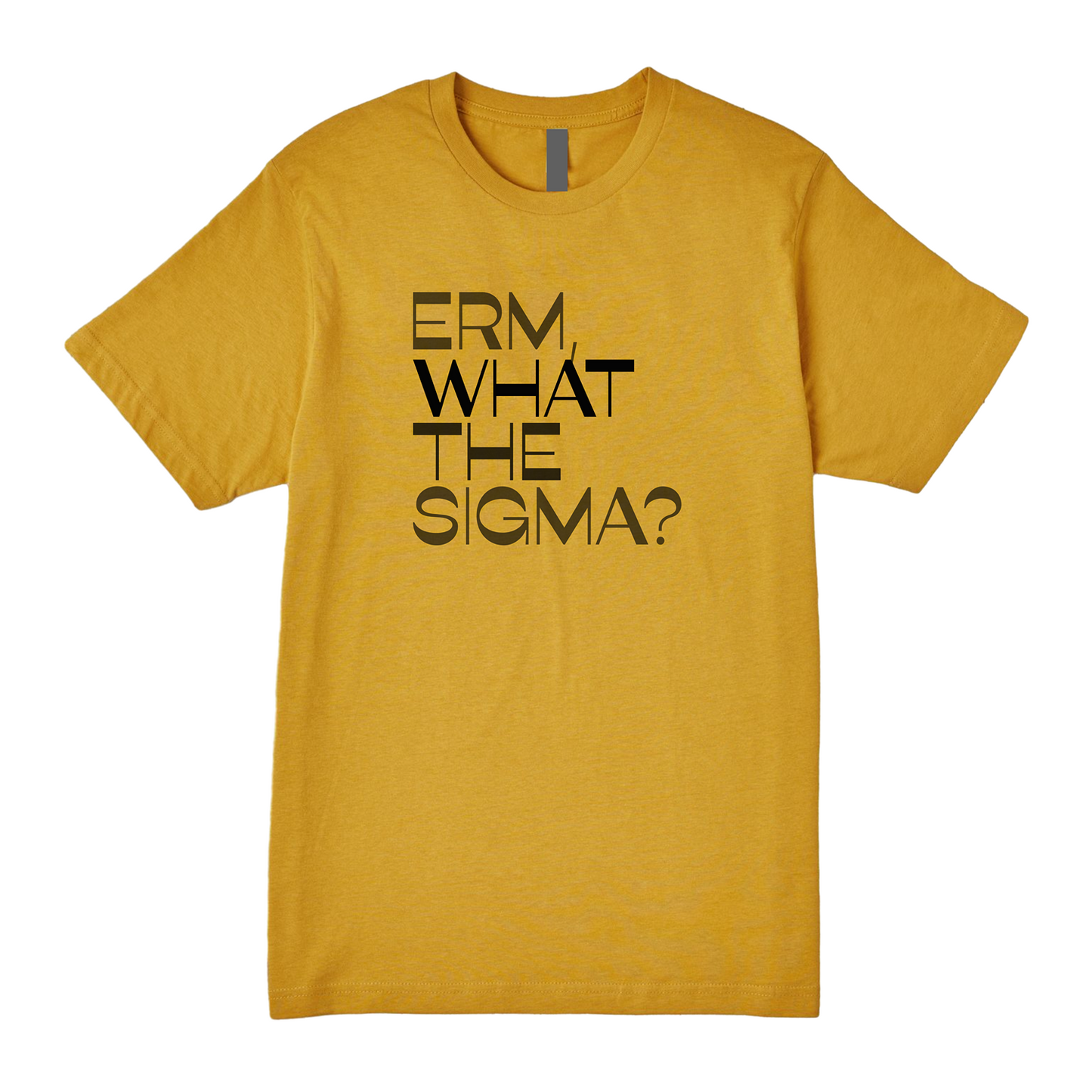 Erm What The Sigma Tee - Question Everything